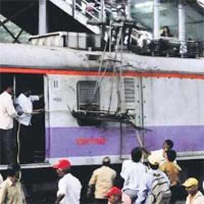 WR opts for bird deterrent gel to ensure smoother train journeys