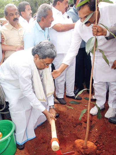 Saplings in Hennur Lake park are wilting due to negligence