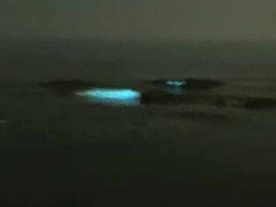 Mumbai: Bioluminescent, glowing blue waves create magical sight at Juhu beach