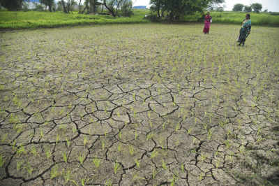 Maharashtra villages may soon run out of water, staring at drought