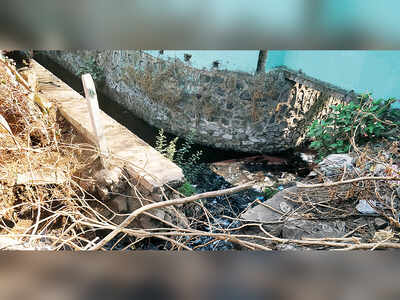 Dombivali industrial estate continues to pollute Ulhas river