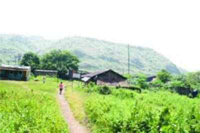 Maharashtra govt mulls authorising Collectors to auction Adivasi land