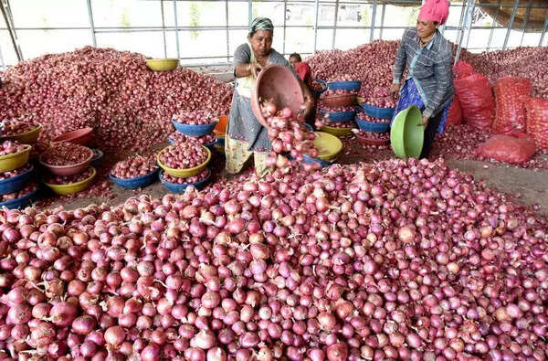 Facing losses, farmers demand MSP for onions