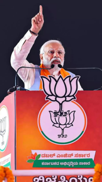​BJP held a whopping 400 rallies​