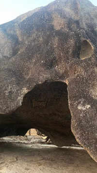Look what they found in Gujarat forest: Rock paintings, guarded by a sloth bear