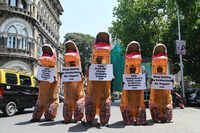 People For The Ethical Treatment Of Animals Peta Photos | Images of