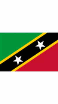 <i class="tbold">st. kitts and nevis</i>
