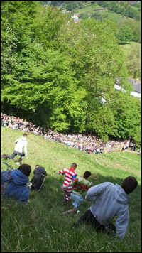 Racers chase a 7-pound wheel of Double Gloucester cheese down a near-vertical hill