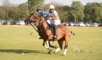Check out our latest images of <i class="tbold">indian polo</i>