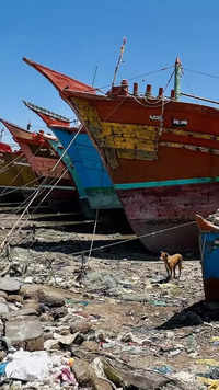 ​Shipping activities at India's largest public sector port, Kandla, stopped​