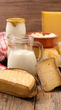 ​​<i class="tbold">dairy products</i>​