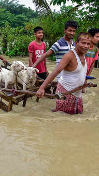 Over 1 lakh hit as Assam flood situation remains grim