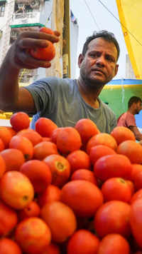 Tomato prices skyrocket across country; know why