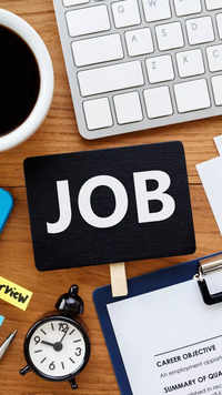 ​10 Tips for Getting a <i class="tbold">govt</i> Job