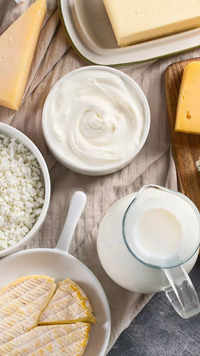 ​<i class="tbold">dairy products</i>