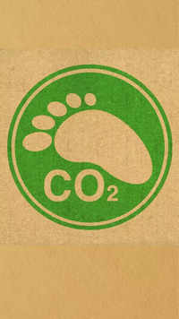 How to reduce your <i class="tbold">carbon footprint</i>