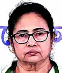BJP Trolls: Bengal's women live a life, not a lie, says Mahua Moitra, slams  'BJP trolls