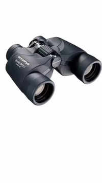 Olympus 8x40 <i class="tbold">dps</i> Binocular​