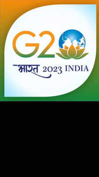 G20 India mobile app
