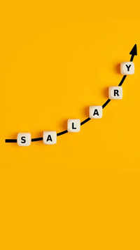 IT companies: <i class="tbold">salary hike</i> rollouts and delays