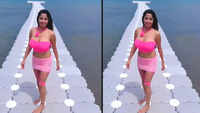 Kate Sharma Videos | Latest Video of Kate Sharma | Times of India ...