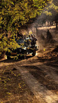 See the latest photos of <i class="tbold">ranthambore</i>