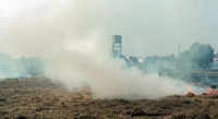 <i class="tbold">stubble</i> burning in Punjab