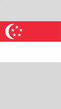 Government of Singapore