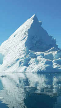 <i class="tbold">iceberg</i> Mover​