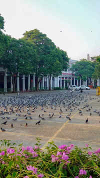 <i class="tbold">connaught place</i>