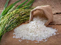 Rice prohibition and <i class="tbold">ekadashi</i>