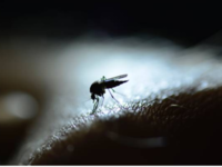 ​8 cases of Zika virus reported in <i class="tbold">kannur district</i> in Kerala​