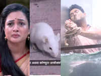 ​From rats guiding Gauri to showing sinking scenes of Jaydeep, times when Sukh Mhanje Nakki <i class="tbold">kay asta</i> got trolled for its bizarre scenes​