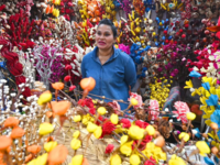 ​<i class="tbold">sola</i> wood flower stall blooms opportunities​