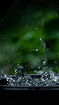<i class="tbold">rainwater harvesting</i> Model
