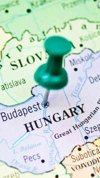 ​Hungarian