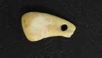 Roughly 20,000-year-old pendant's genetic revelations