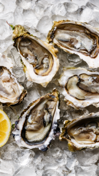 ​​<i class="tbold">oyster</i>s​