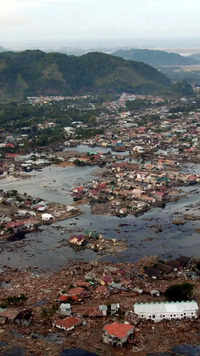 Indian Ocean earthquake and <i class="tbold">tsunami</i> 2004