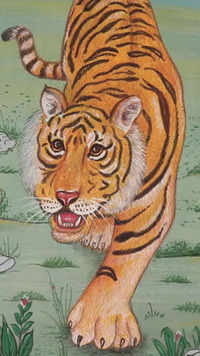 <i class="tbold">nawab</i> – Regal Tiger