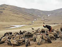 ​Sky Burials in Tibet:​