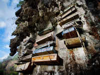 ​Hanging <i class="tbold">coffins</i> in Sagada, Philippines:​