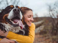 ​​5 reasons why you should have a pet​