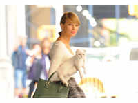 Olivia Benson: Taylor Swift's feline <i class="tbold">fortune</i>