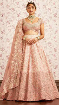 Pink Blush Photos  Images of Pink Blush - Times of India