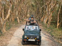 PM Modi ventures into jeep safari