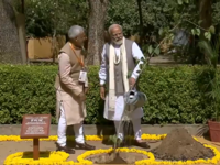PM Modi plants sapling