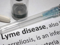 ​56-year-old man from Kerala affected with <i class="tbold">lyme disease</i>: Reports​