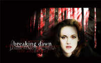 New pictures of <i class="tbold">The Twilight Saga: Breaking Dawn Part 1</i>