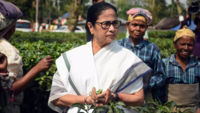 <i class="tbold">Mamata Banerjee</i> discussed 'livelihood crisis' impacting tea farmers